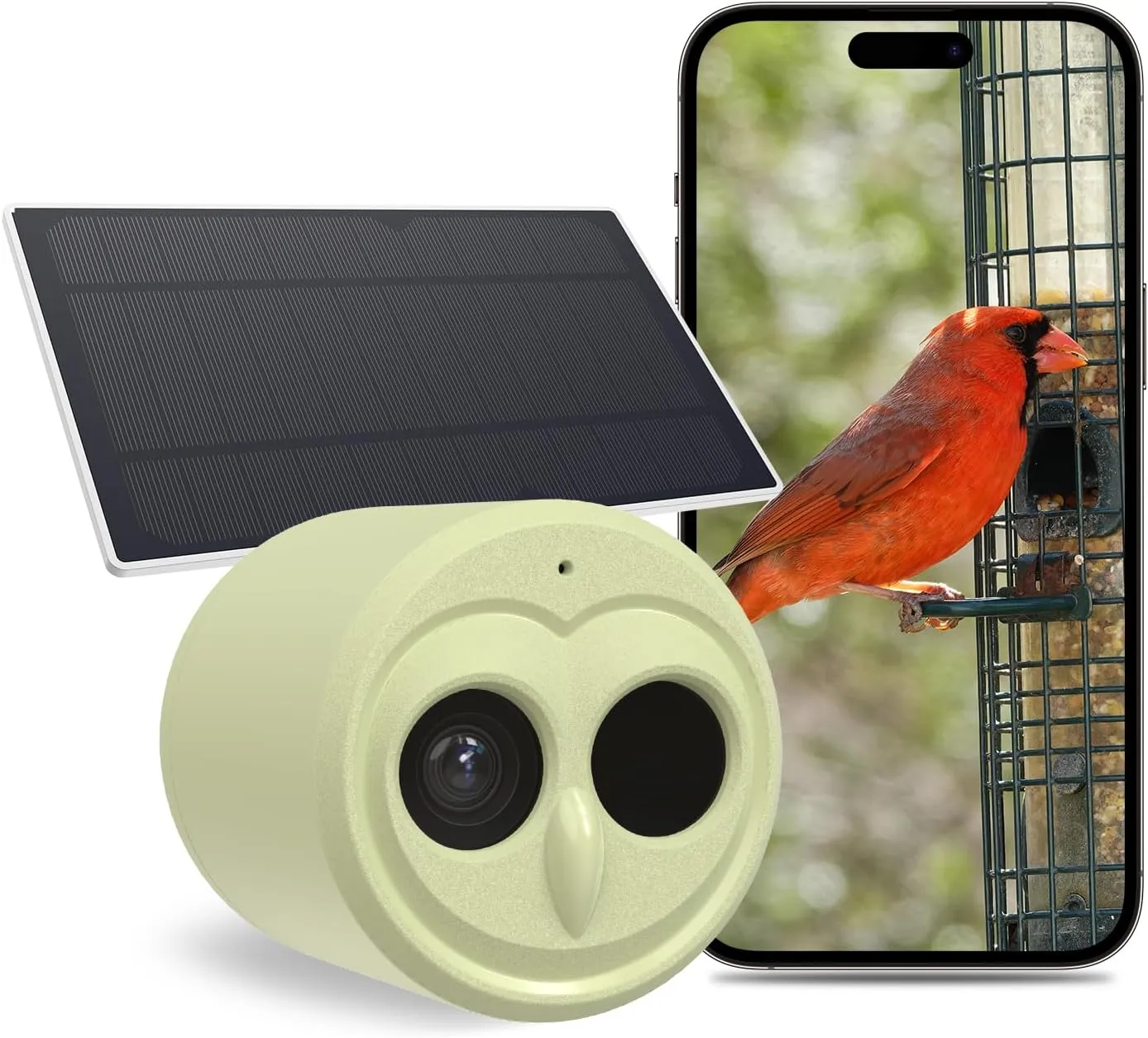 5G Bird Watching Camera, Hibird Smart AI Identify and Auto Capture 10000  Bird Species IP66 Mini Wireless Watching Camera with Solar Panel, Ideal Gift for Birds Lover