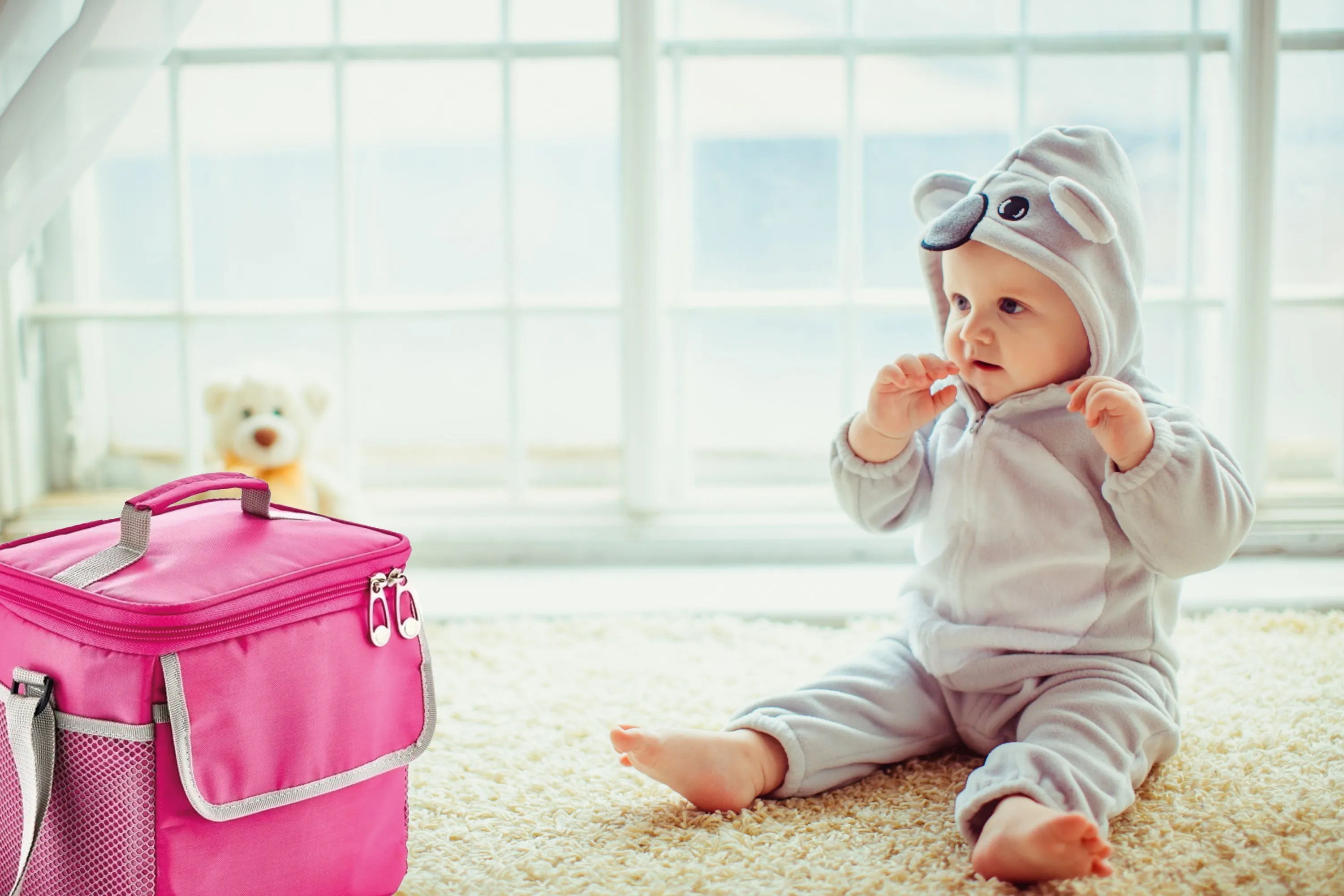 Babyjem Thermos Bag, Portable Cooler Bag, Dishwasher Safe, Insulated