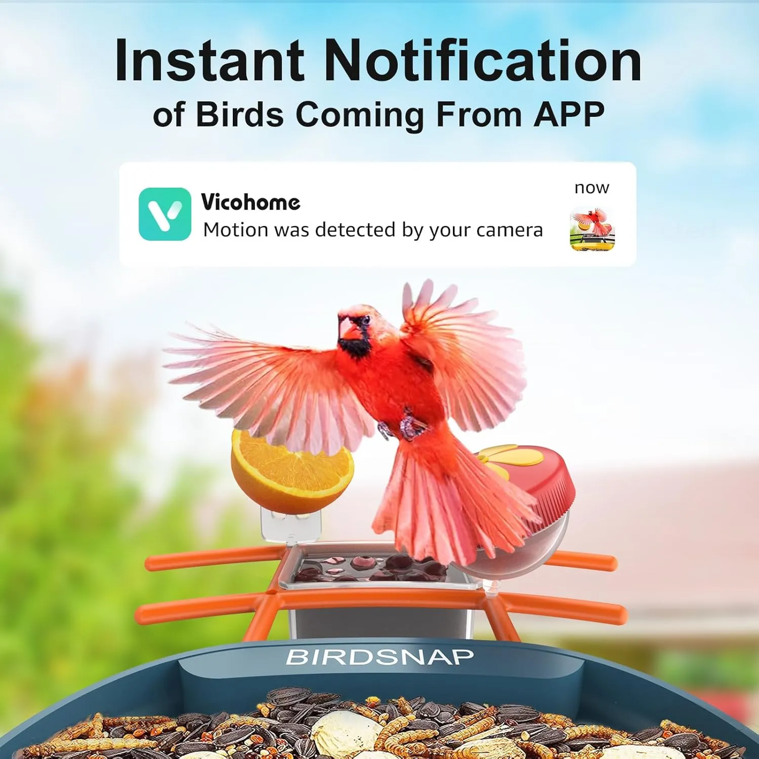 birdsnap® PAV- Smart Bird Feeder with Camera Solar Powered, 64GB Card & 2K HD Record Video Bird Camera Live with 5 DIY Add-ons, AI Identify Auto Capture, Ideal Gift for Birds Lover