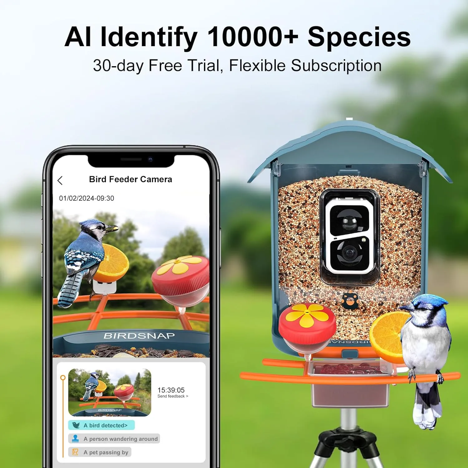 birdsnap® PAV- Smart Bird Feeder with Camera Solar Powered, 64GB Card & 2K HD Record Video Bird Camera Live with 5 DIY Add-ons, AI Identify Auto Capture, Ideal Gift for Birds Lover