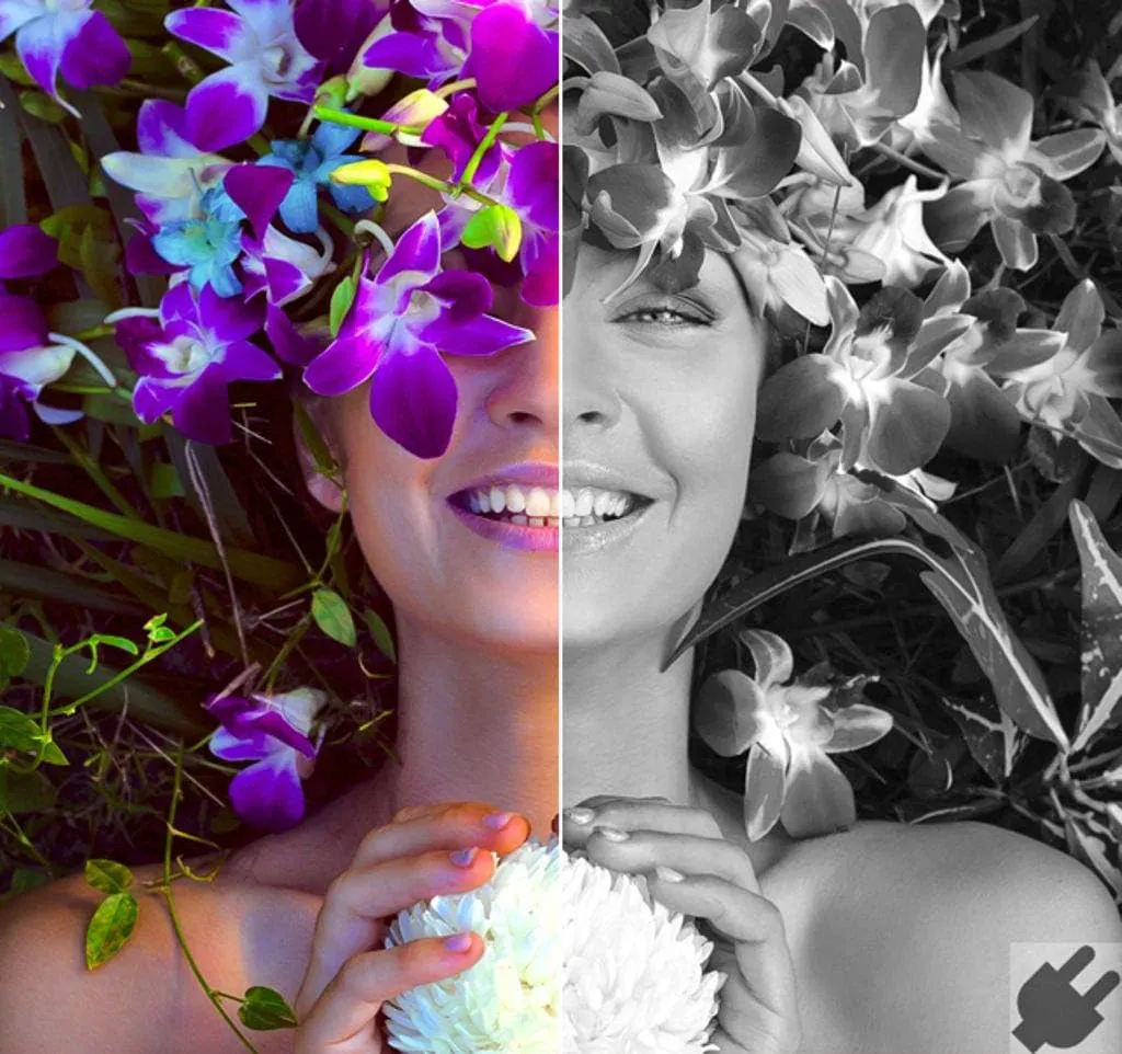 Corel AfterShot Pro 3 | RAW Photo Editing Software [Mac Download]