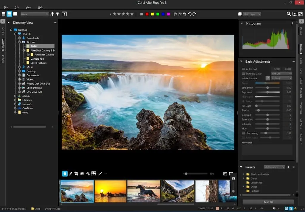 Corel AfterShot Pro 3 | RAW Photo Editing Software [Mac Download]