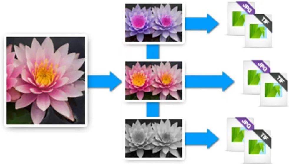 Corel AfterShot Pro 3 | RAW Photo Editing Software [Mac Download]