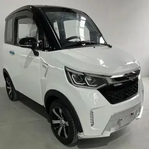 Enclosed Two-Seater Electric Mobility Scooter with 4 Wheels, 2200W Motor, 550 lb Load Capacity