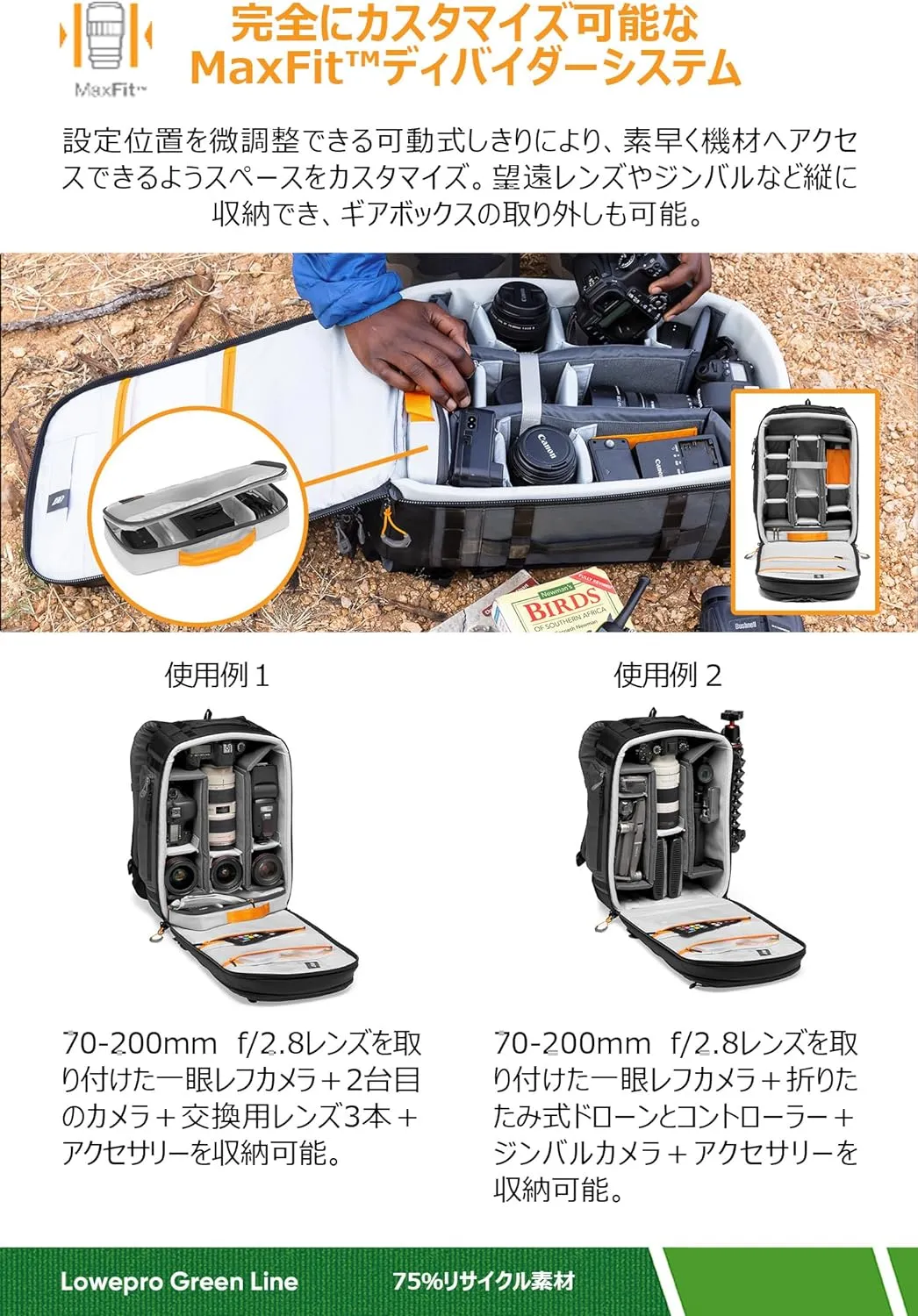 Lowepro Camera & Photo BP 350 AW II-New, Grey