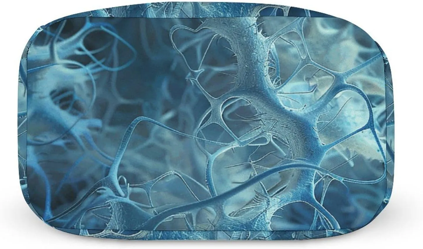Lunch Bag for Women Men Lunch Box Reusable Blue Neuron Picture Lunch Tote Bag Insulated Cooler Bag
