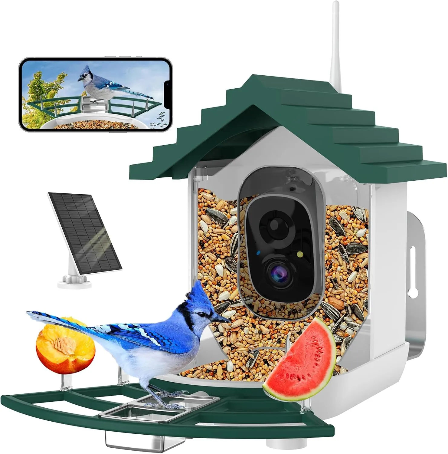 Smart Bird Feeder with Camera,Ai Identify Birds Watching Camera with Solar Powered,FHD Live View, Auto Capture Birds Video in Backyard,Porch, Patio,Ideal Gifts for Family and Bird Lovers (Dark Green)