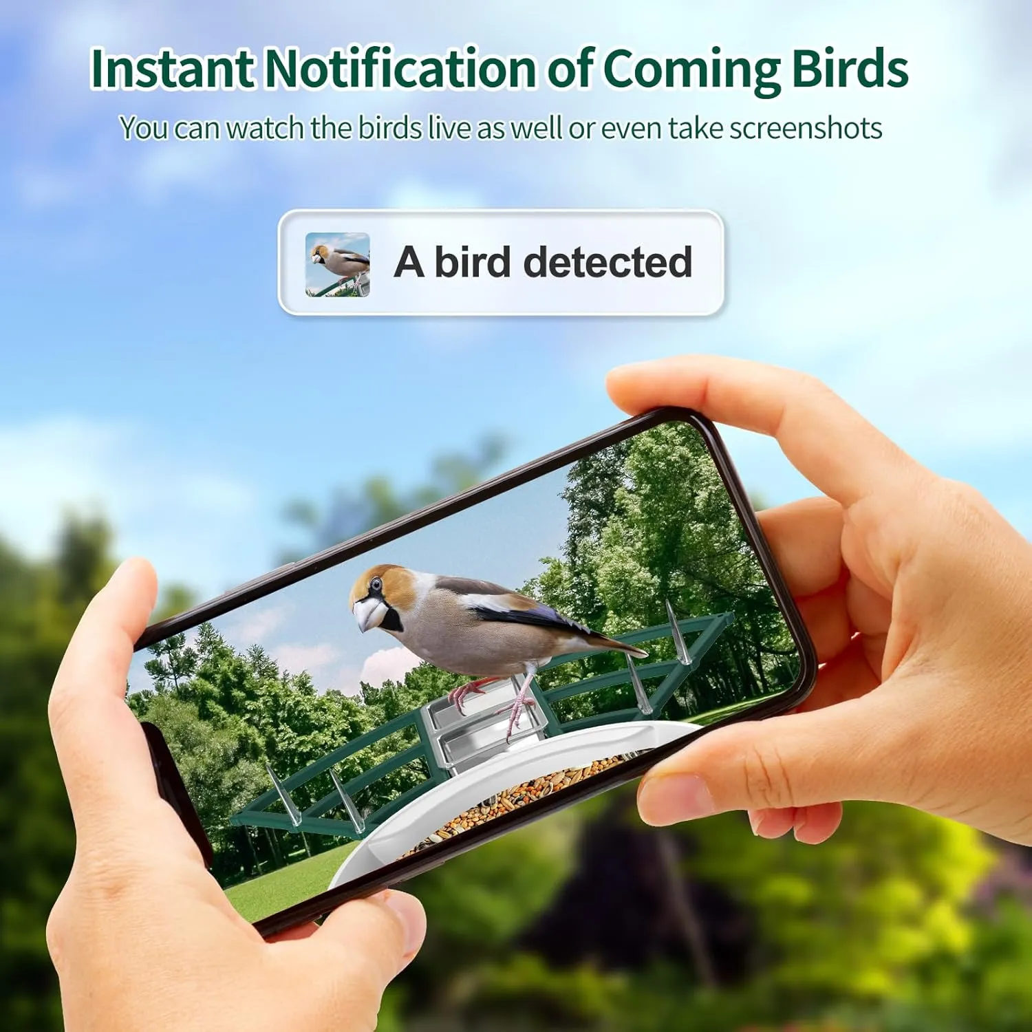 Smart Bird Feeder with Camera,Ai Identify Birds Watching Camera with Solar Powered,FHD Live View, Auto Capture Birds Video in Backyard,Porch, Patio,Ideal Gifts for Family and Bird Lovers (Dark Green)