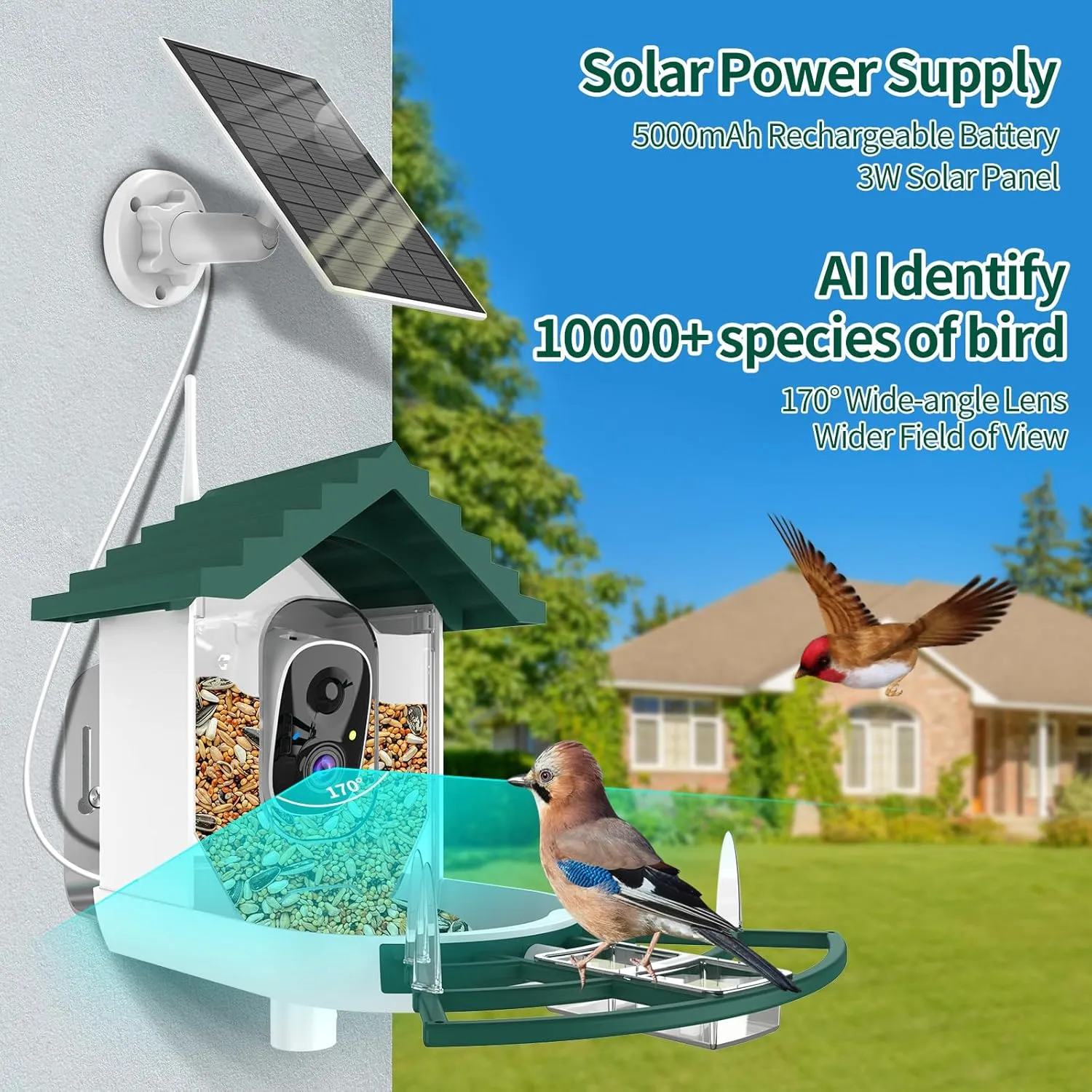 Smart Bird Feeder with Camera,Ai Identify Birds Watching Camera with Solar Powered,FHD Live View, Auto Capture Birds Video in Backyard,Porch, Patio,Ideal Gifts for Family and Bird Lovers (Dark Green)