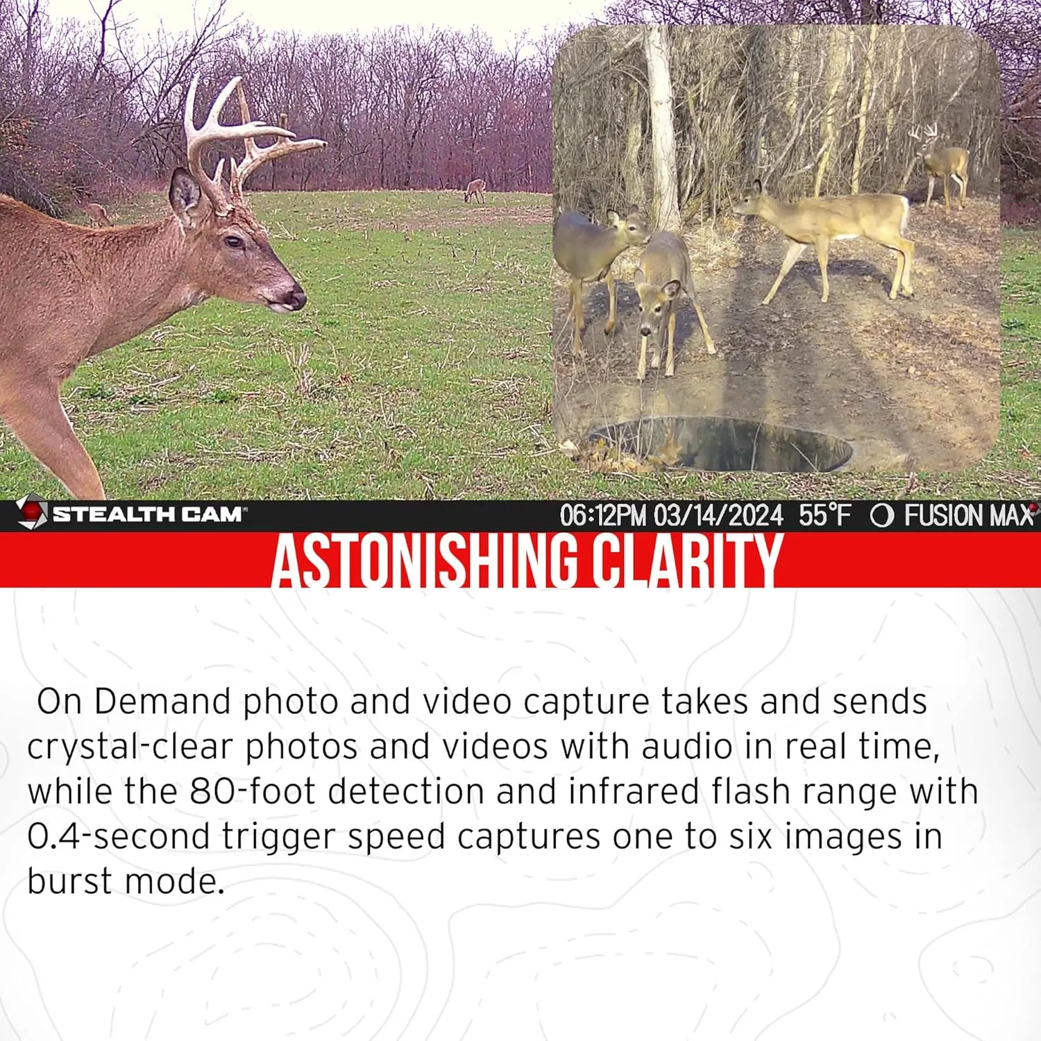 Stealth Cam 36MP Fusion Max Cellular Trail Camera with 80 Feet Detection Range with 32GB Memory Cards and Card Reader (3 Items)