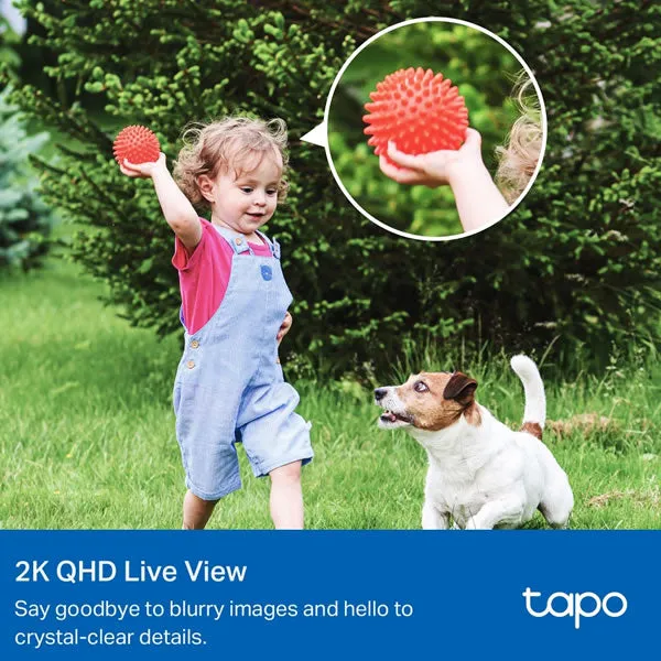 TAPO C425KIT | Smart Wire-Free Security Camera and Solar Panel Kit